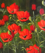 poppies